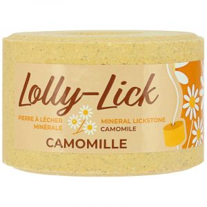 Pierre à sel HIPPOTONIC – LOLLY-LICK