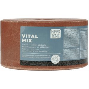 Pierre à sel HIPPOTONIC – Vitalmix