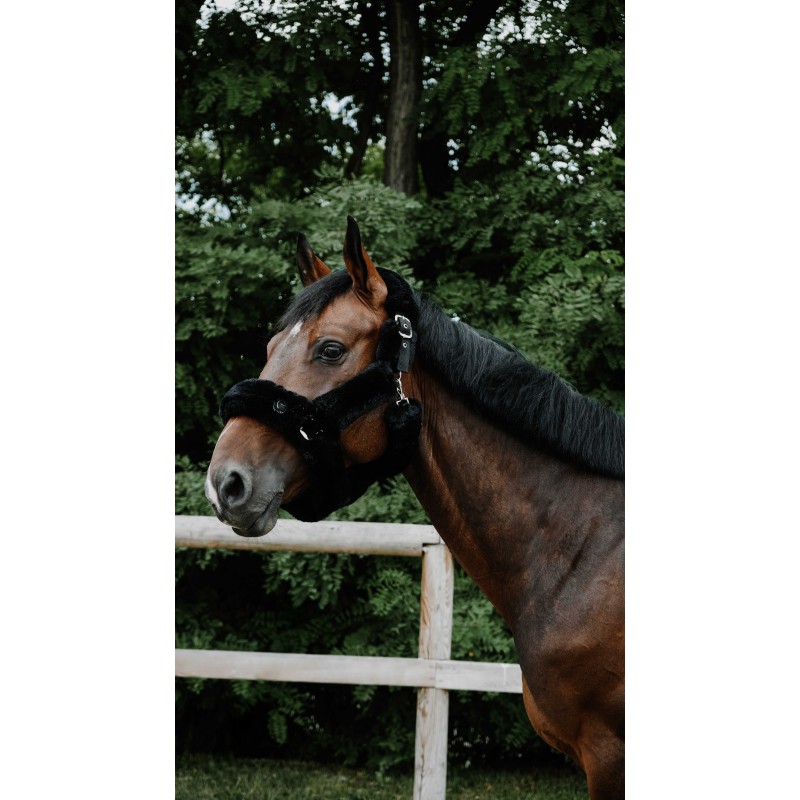 Licol Je t'aime EQUITHÈME - Snuggy – Image 3
