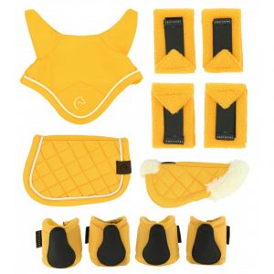Set Mini accessoires PONY ACADEMY