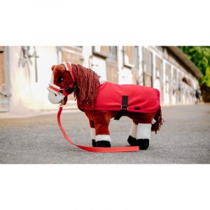 Set Mini licol+couverture PONY ACADEMY