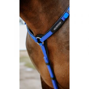 Collier de chasse Endurance NORTON – Pop