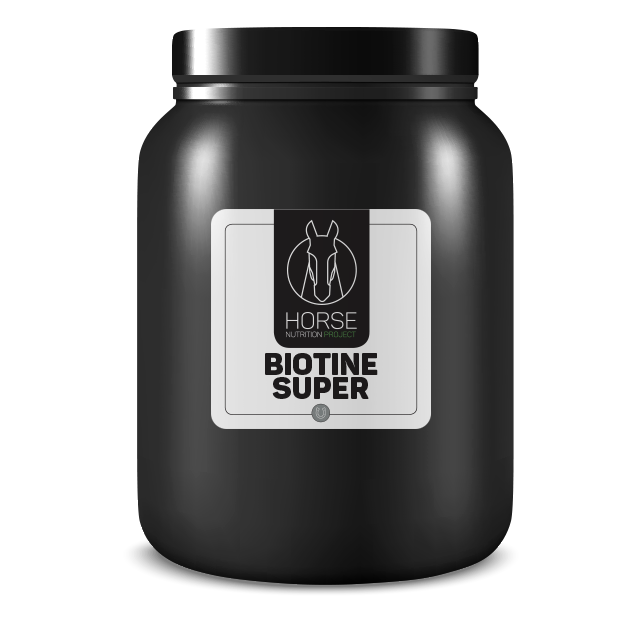 Biotine Super HNP