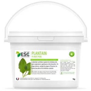 PLANTAIN – Respiration et irritations cutanées cheval – Plante pure ESC